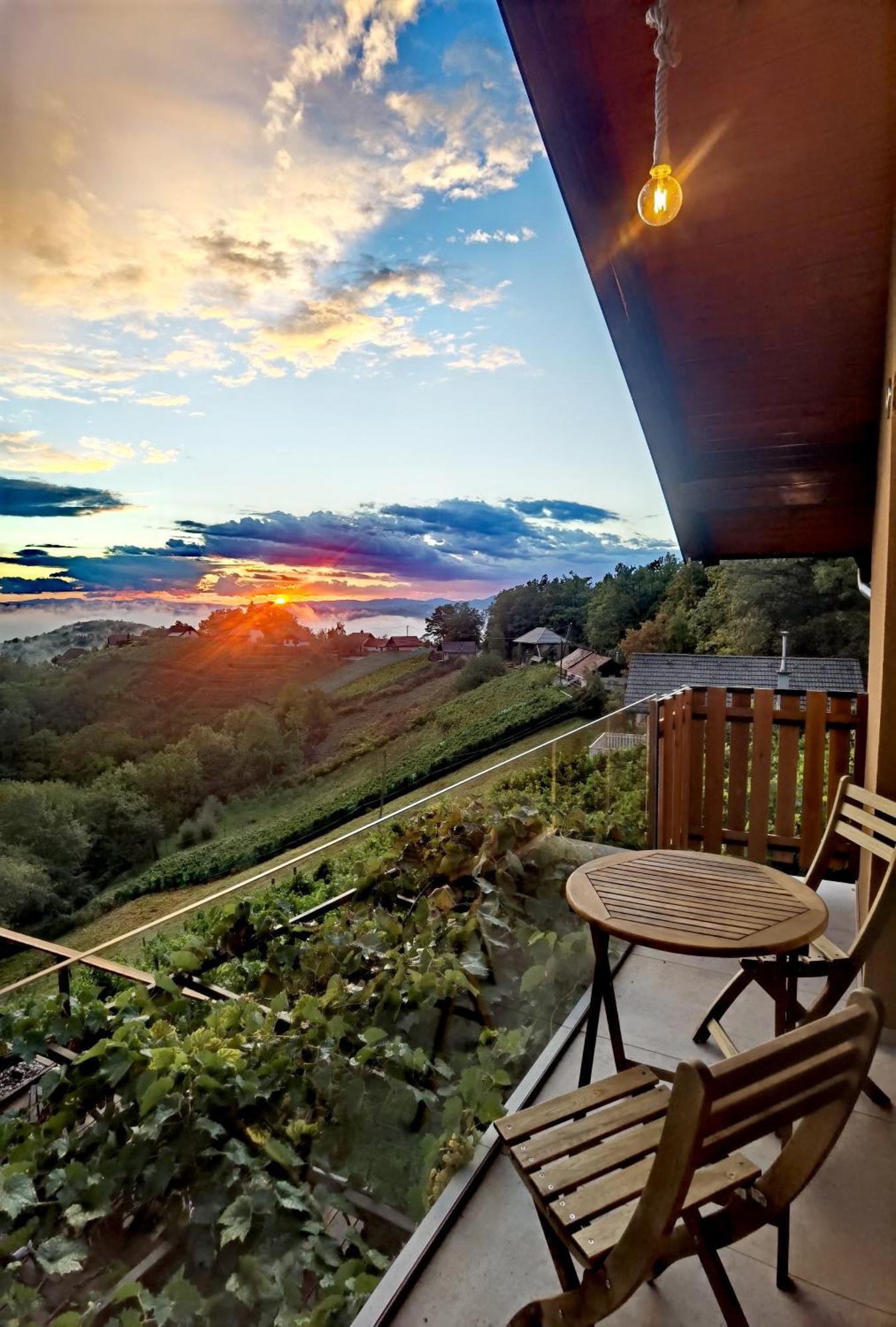 Vineyard Cottage Soncni Gric Trebnje Extérieur photo